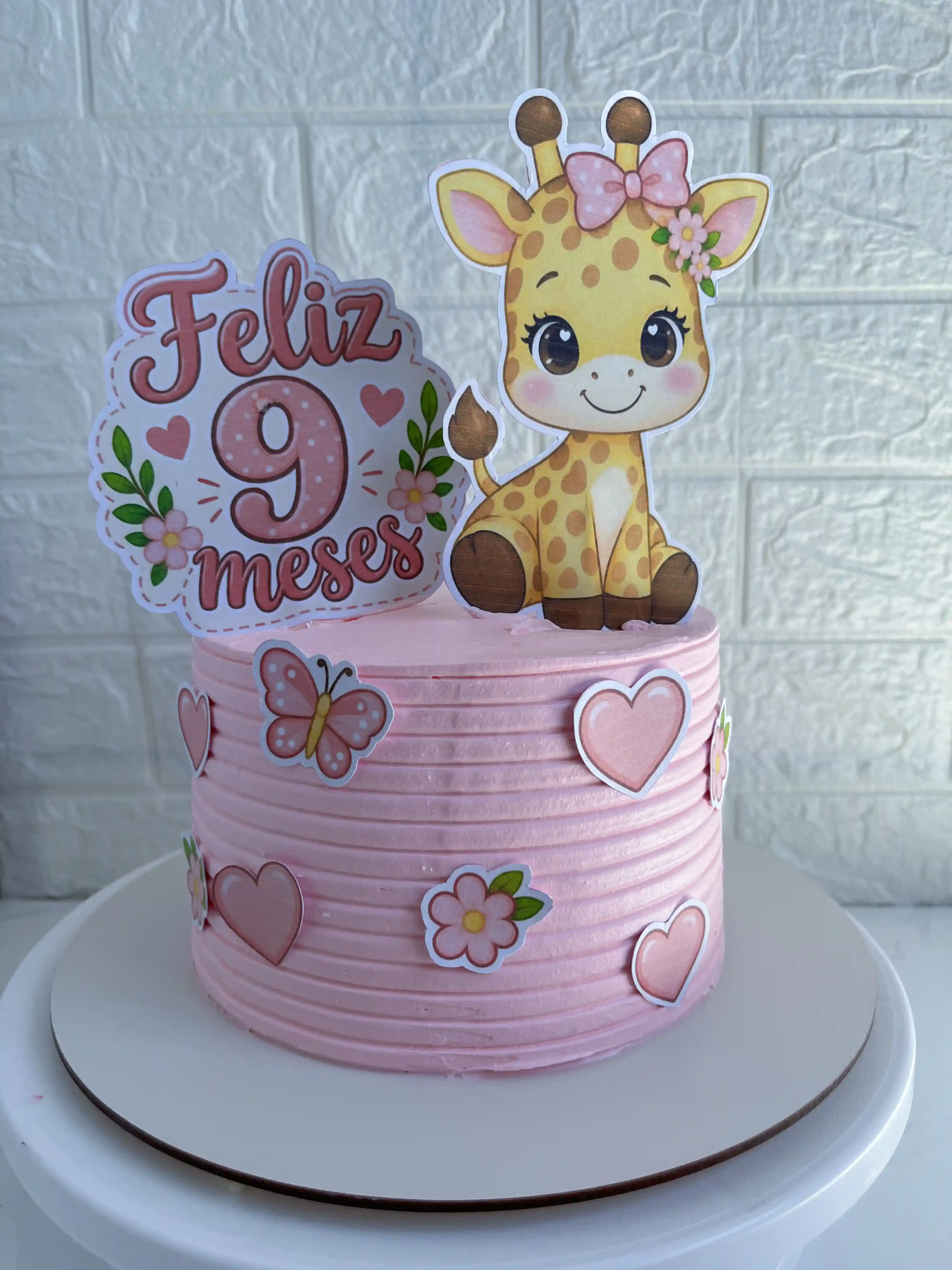 9 meses da Sophia